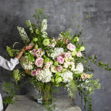 KYTICA OČARUJÚCI POHĽAD