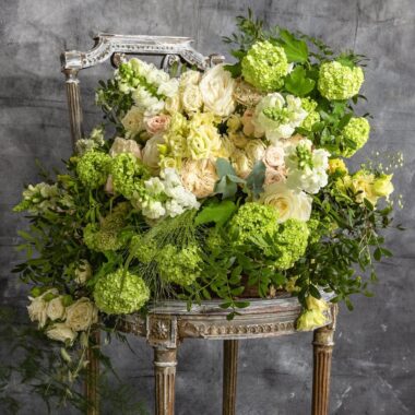 KYTICA CÍTIM TO ROVNAKO