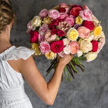 KYTICA PLNÁ FANTÁZIE